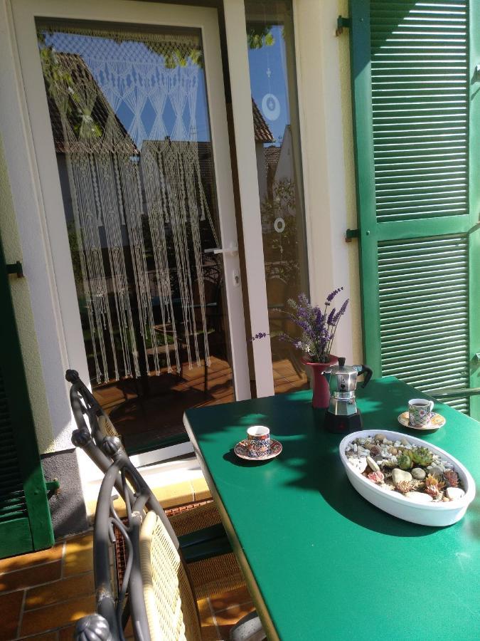 Apartament Kakteengarten *
