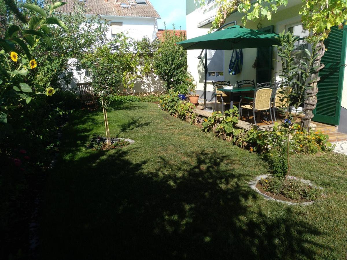 Kakteengarten Apartment Bochingen